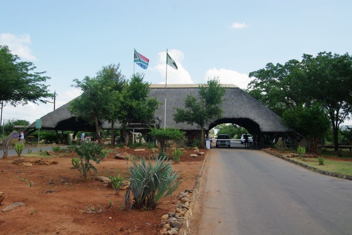Top 5 Drives to Kruger Park Gates from White River
